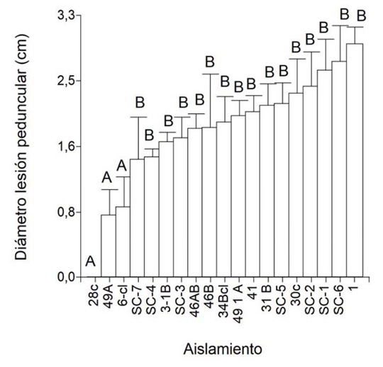 Di�metro de la lesi�n peduncular en pi�a seg�n los aislamientos inoculados, prueba DGC. Universidad de Costa Rica, Montes de Oca, Costa Rica. Material recolectado entre 2015-2019.