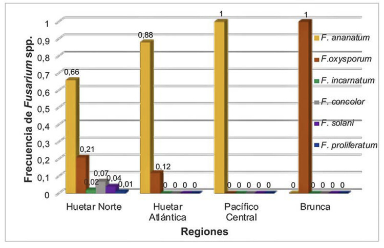 Frecuencia de las especies de Fusarium en Costa Rica de acuerdo con la regi�n productora de pi�a. Universidad de Costa Rica, Montes de Oca, Costa Rica. Material recolectado entre 2015-20219.