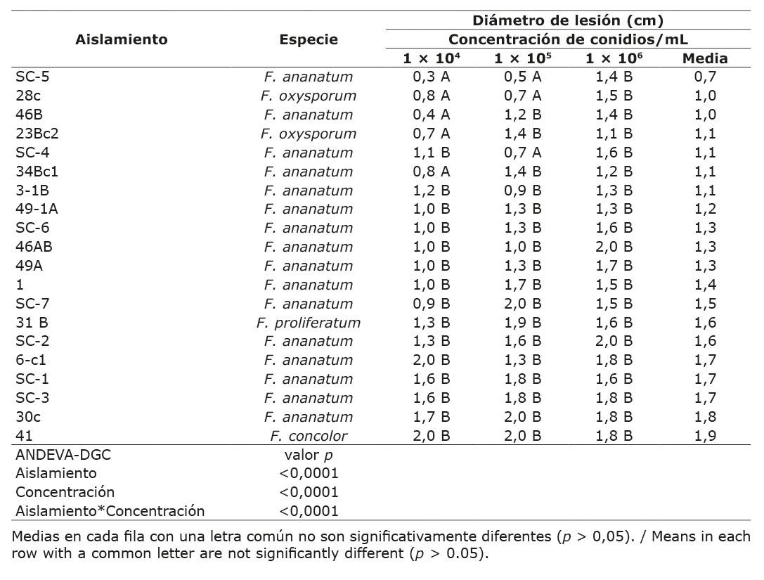 Di�metro de la lesi�n en pulpa de pi�a para aislamientos y concentraci�n de conidios inoculados. Universidad de Costa Rica, Montes de Oca, Costa Rica. Material recolectado entre 2015-2019.