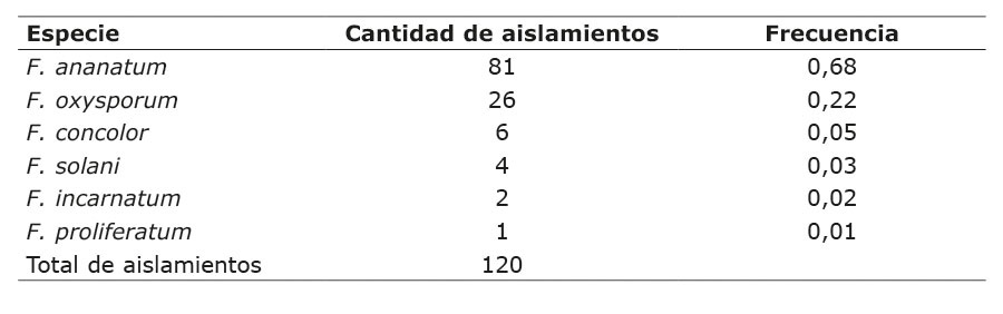 Frecuencia de las especies de Fusarium aisladas de diferentes partes (tallo, ra�z y fruto) de plantas de pi�a de Costa Rica. Universidad de Costa Rica, Montes de Oca, Costa Rica. Material recolectado entre 2015-2019.