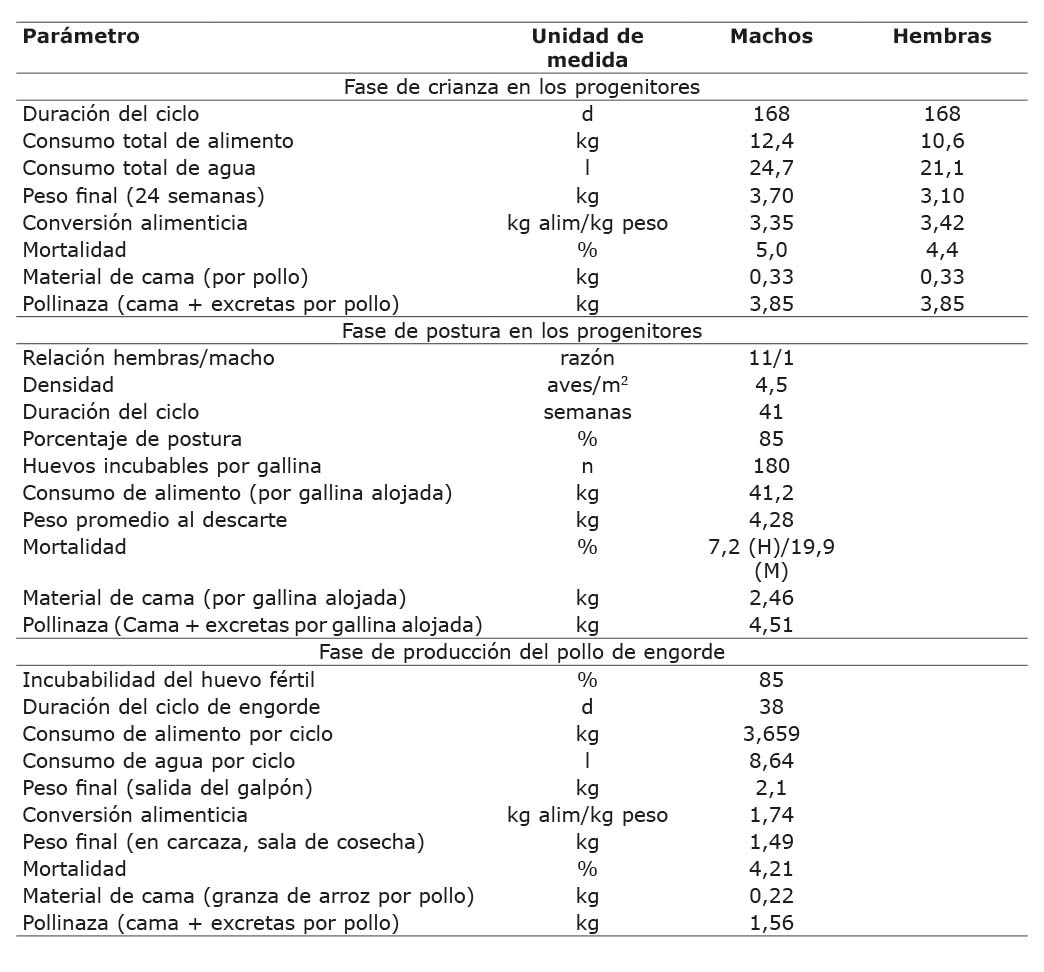 Principales parámetros técnicos asociados con las fases de crianza y postura en los progenitores, y la fase de crianza del pollo de engorde. Costa Rica. 2021.