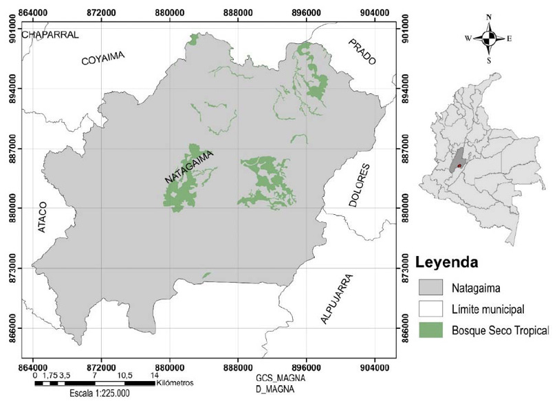 Ubicación del área de estudio y distribución del bosque seco tropical en el municipio de Natagaima, Tolima, Colombia. 2023.