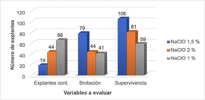 Tratamientos de desinfecci�n para embriones de palma de cera. Armenia, 2022.