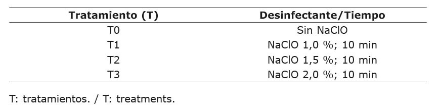 Desinfecci�n de embriones cig�ticos de Ceroxylon alpinum para el establecimiento in vitro en diferentes concentraciones de NaClO. Armenia, 2022.