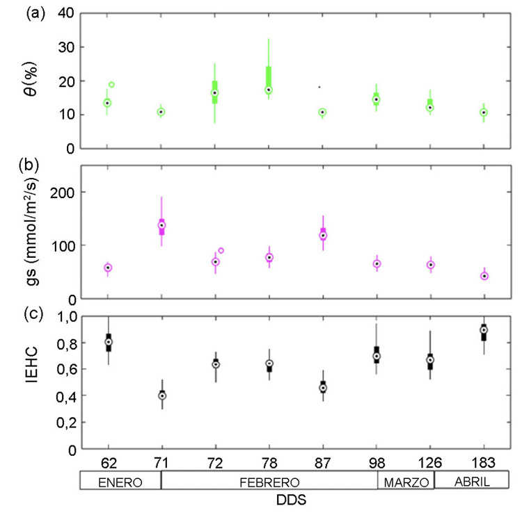 Variaci�n temporal de (a) humedad del suelo (θ), (b) conductancia estom�tica (gs), y (c) �ndice de estr�s h�drico de cultivo (IEHC). Unidad de Investigaci�n en Riego de la Universidad Nacional Agraria La Molina, Lima, Per�, de noviembre de 2022 a mayo de 2023.