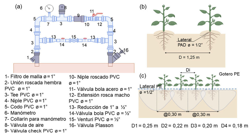 (a) Arco de riego y sus componentes, (b) distanciamiento entre laterales y (c) distanciamiento entre goteros de una lateral durante el monitoreo del cultivo de algod�n (Gossypium barbadense L.), variedad Molinero extralargo. Unidad de Investigaci�n en Riego de la Universidad Nacional Agraria La Molina, Lima, Per�, de noviembre de 2022 a mayo de 2023.