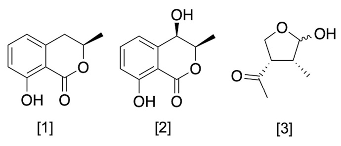 Metabolites structure secreted by Macrophomina phaseolina. Departamento de Qu�mica Biol�gica, Facultad de Ciencias Qu�micas, Universidad Nacional de Asunci�n, Paraguay. 2023.