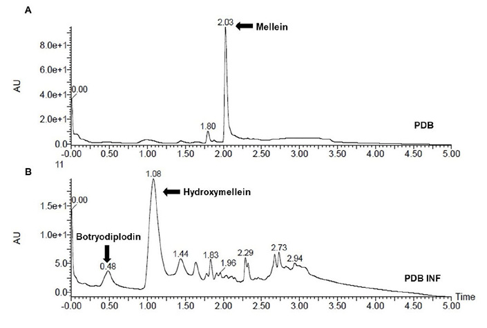 Chromatographic fingerprint by ultra-high efficacy liquid chromatography with diode array detection (UHPLC-PDA) of secondary metabolites secreted by Macrophomina phaseolina FCQ11. A. Fungus grew in potato dextrose broth without soybean leaf infusion (PDB). B. Fungus grew in potato dextrose broth with soybean leaf infusion (PDB INF). Departamento de Qu�mica Biol�gica, Facultad de Ciencias Qu�micas, Universidad Nacional de Asunci�n, Paraguay. 2016.