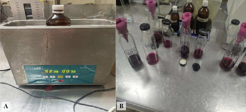 Proceso de obtención de los extractos. A) Aplicación de ultrasonido a los extractos. B) Filtración de los extractos. Chone, Manabí, Ecuador, 2024.