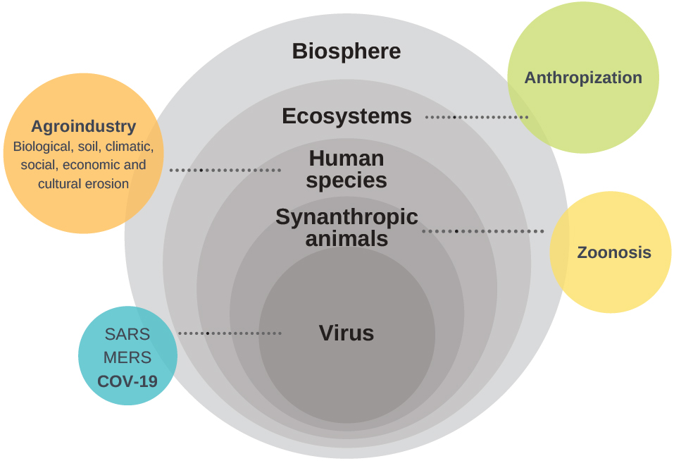 The COVID-19 Pandemic and Paradigm Change,in Global