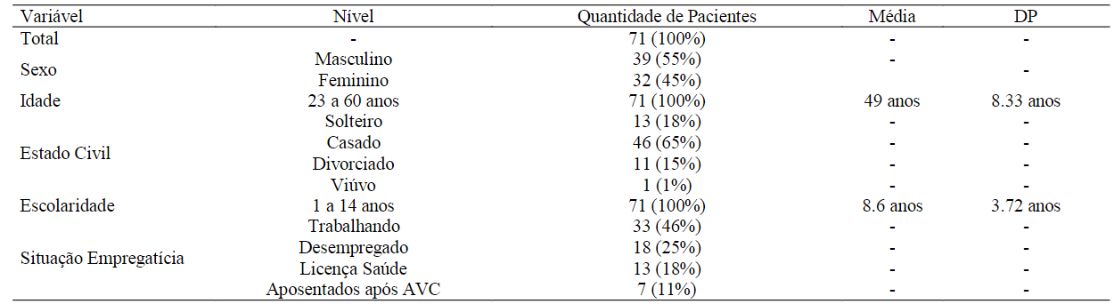 Estatstica descritiva das variveis socioeconmicas coletadas 