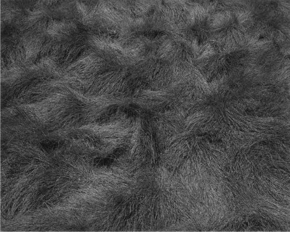 Sin t&iacute;tulo (hierba). Copia en
gelatina de plata, 11,3 x 14 cm, 1999