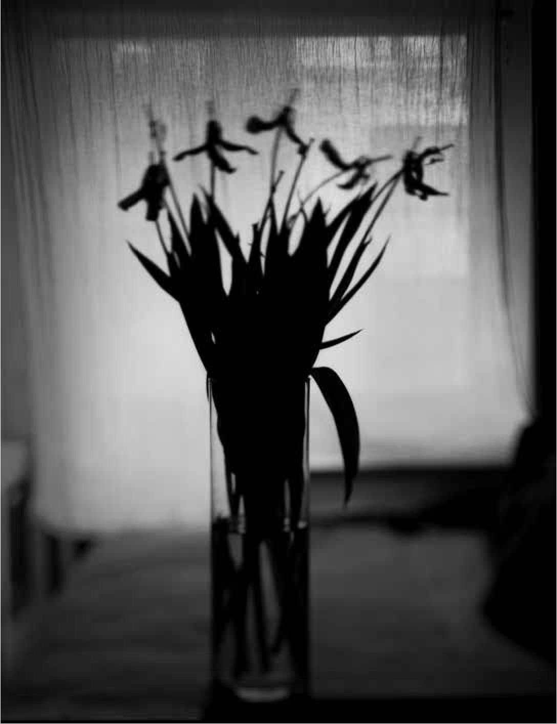 Sin t&iacute;tulo (flores II). Copia en
gelatina de plata, 27,9 x 35,5 cm, 1999