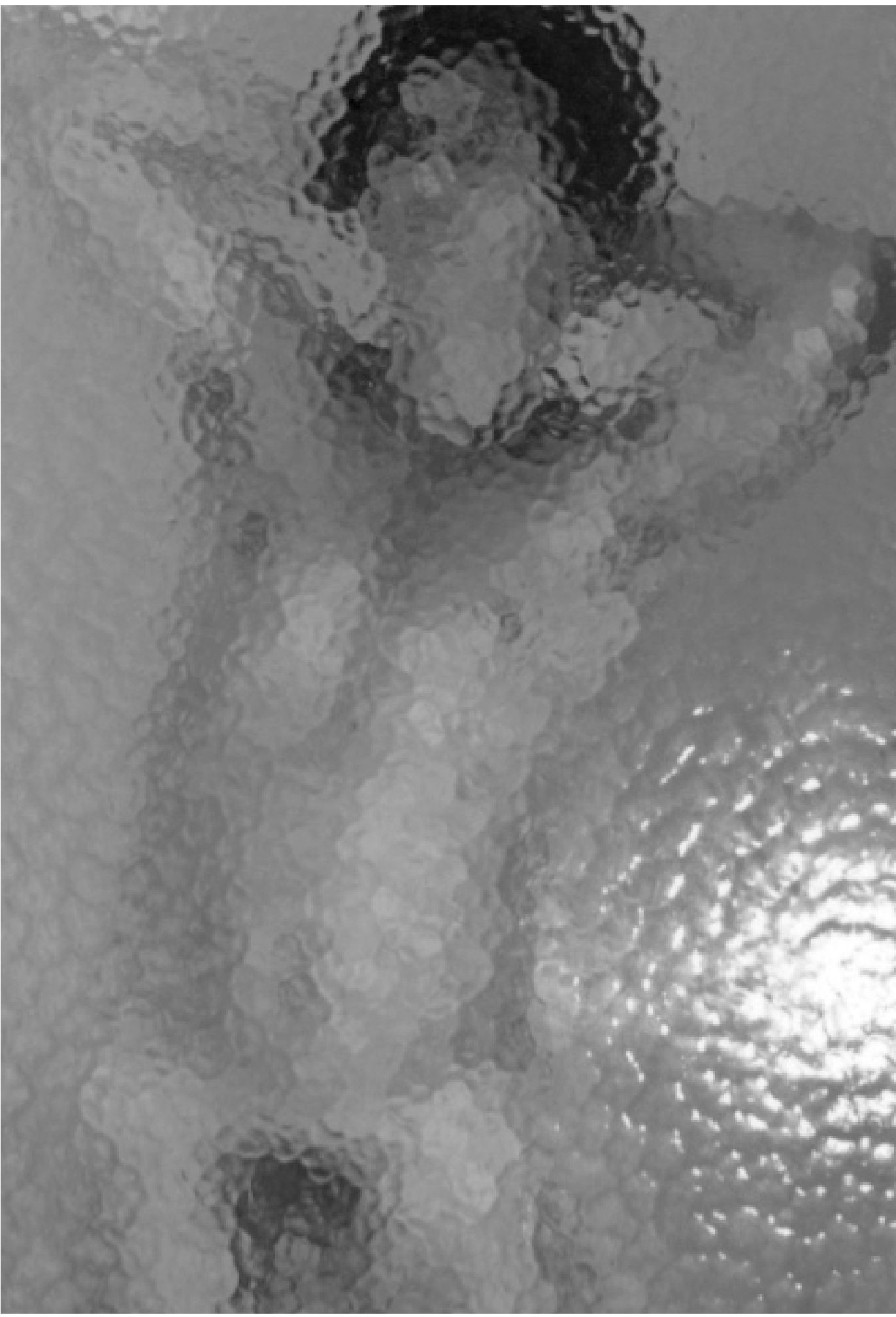 Desnudo de Reinaldo Arenas