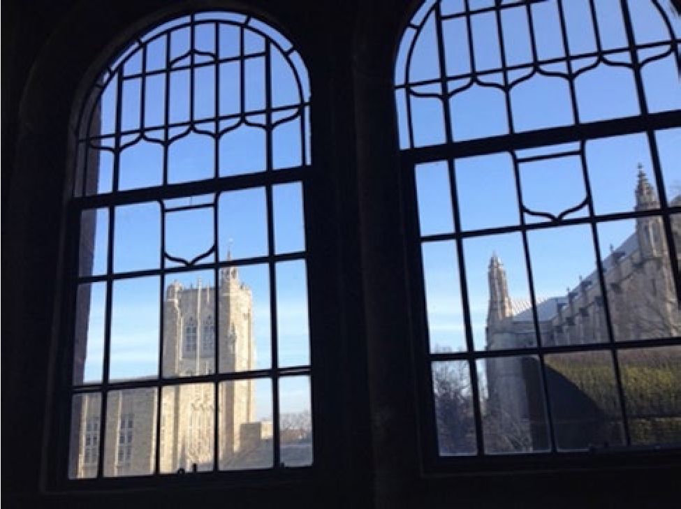 Desde la
ventana de mi oficina