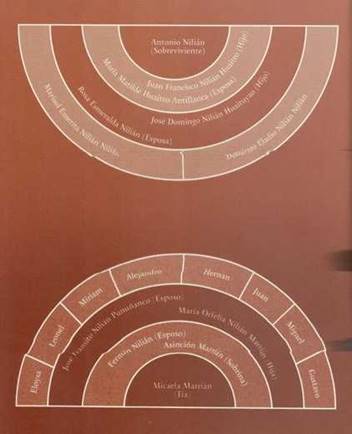 Genealog&iacute;a de la vida