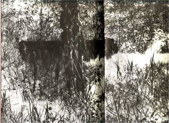  Cruz en sitio eriazo