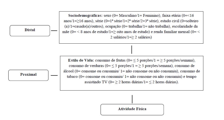 Modelo teórico hierarquizado dos possíveis fatores associados à