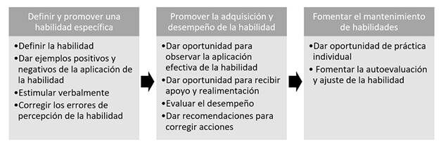 Ciclo de desarrollo de la habilidad (Mangrulkar,
Whiatman y Porner, 2001)