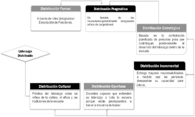 Estadios
de distribuci&oacute;n del liderazgo