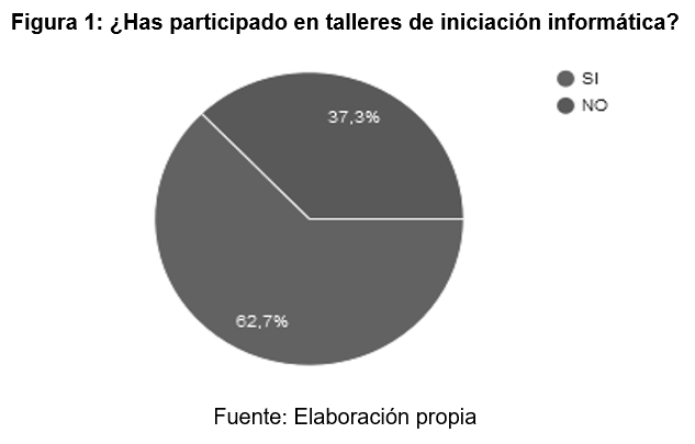 ¿Has participado en
talleres de iniciación informática?