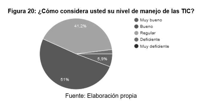 ¿Cómo considera usted
su nivel de manejo de las TIC?