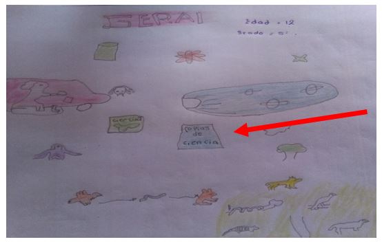 Concepci&oacute;n de las Ciencias
Naturales. Estudiante de 12 a&ntilde;os