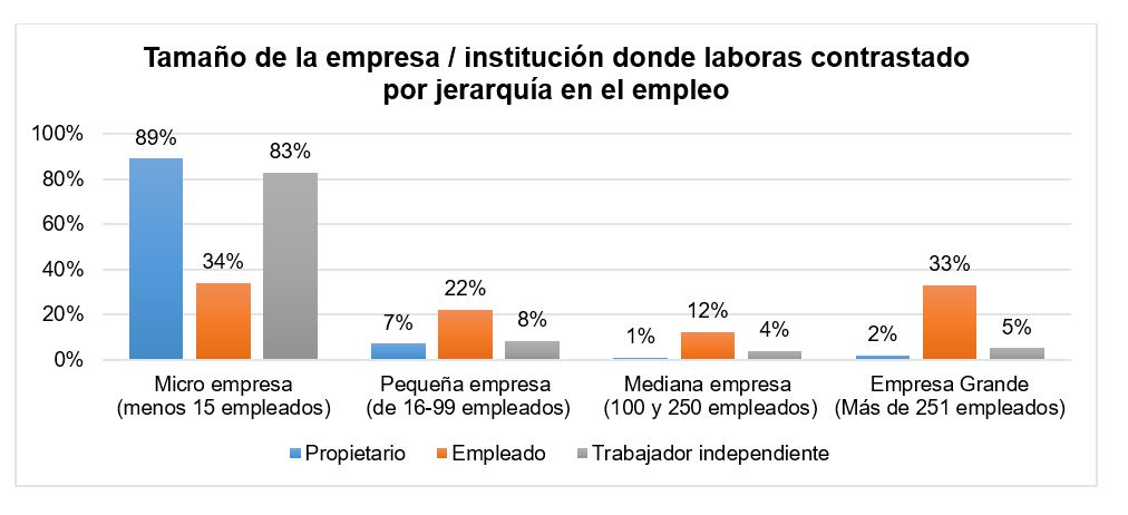 Gr&aacute;fico que
contrasta el tama&ntilde;o de la empresa en la que laboraban con la posici&oacute;n en su
empleo