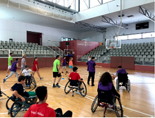 B�squet en silla de ruedas