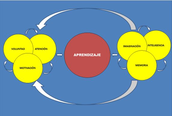 Integracin de motivacin, voluntad y atencin con memoria, imaginacin e inteligencia en el proceso de aprendizaje.