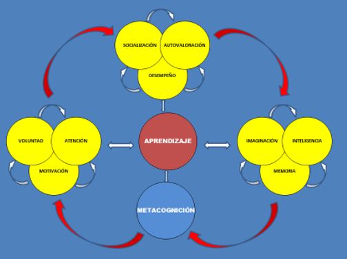 Integracin de varios procesos en la metacognicin para definir el aprendizaje (desarrollo de competencias).