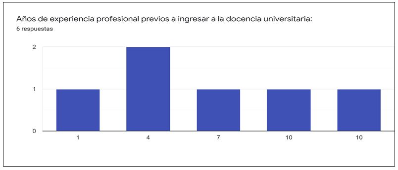 Experiencia profesional previa a la docencia universitaria.