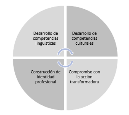 Categorías de análisis sobre los efectos de la aplicación de la estrategia de aprendizaje.