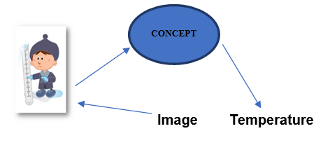 Concept teaching prosess with concept cards.