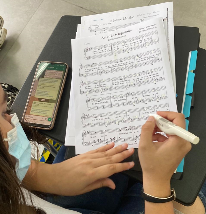 Ejecuci�n profesional fuera del aula