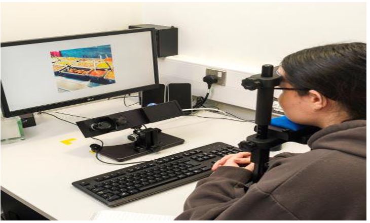 Example of a head-mounted eye-tracker