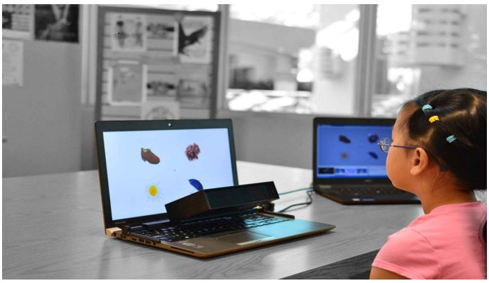 Example of a head-free eye-tracker in a visual world eye-tracking paradigm