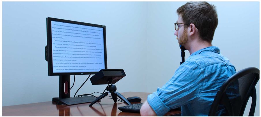 Example of an eye-tracking while reading task.