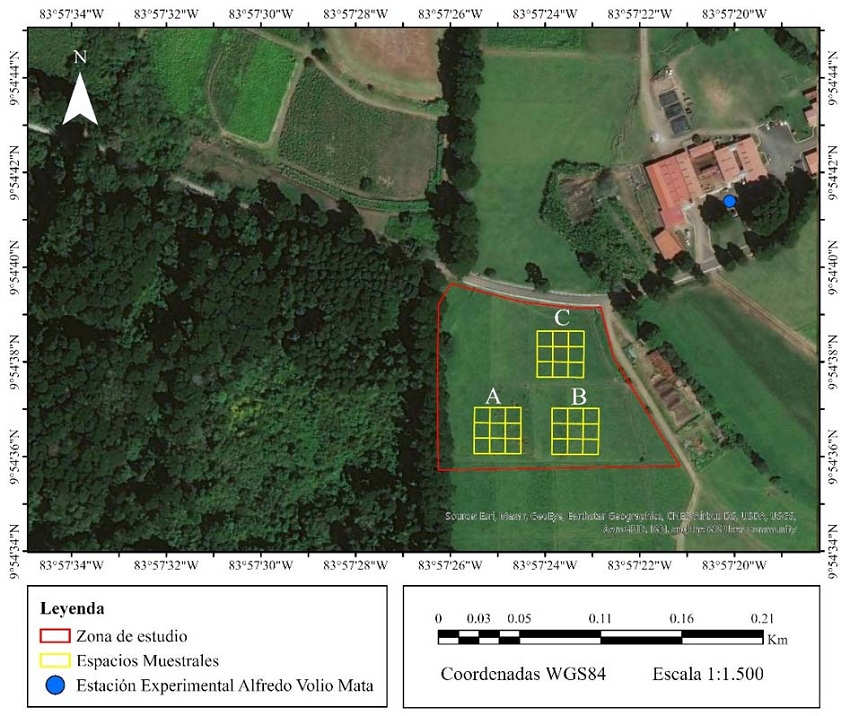 Ubicación de las zonas de muestreo (clústeres) de pasto Estrella Africana en la EEGLVM.