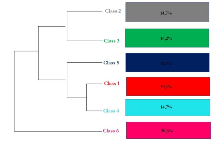 Descending hierarchical classification expressed in percentage.