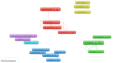 Redes de associa��es de autoria