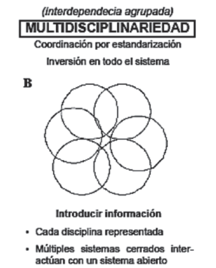 Multidisciplinariedad