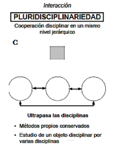 Pluridisciplinariedad