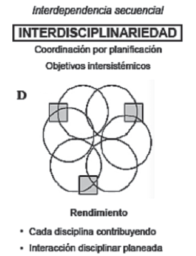Interdisciplinariedad