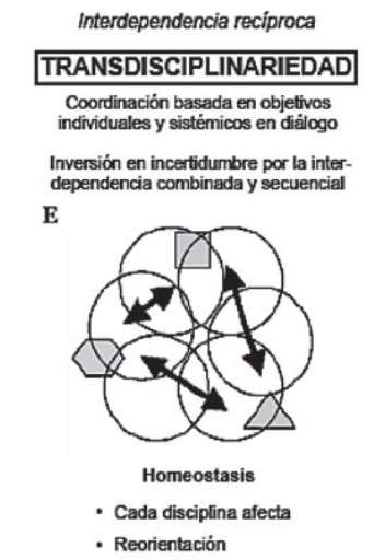 Transdisciplinariedad