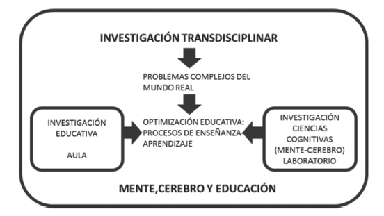 Investigación transdisciplinar