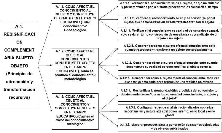 Resignificación desde los principios de retroacción y transformación recursiva
