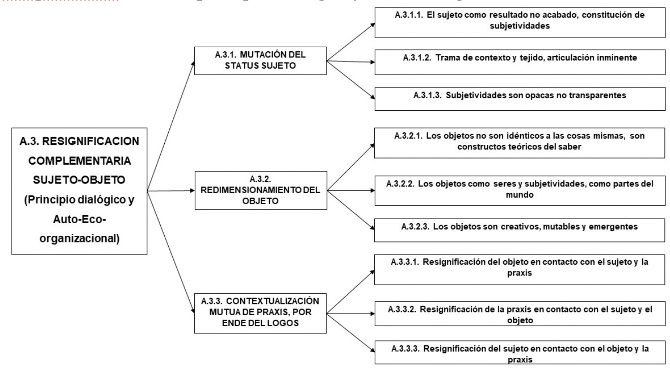 Resignificación desde los principios dialógico y auto-eco-organizacional