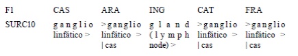 Traducción del concepto |SURC10|a ing.
