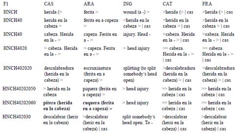 Situación después de representar |pitera|cas| en |HNCH40202060|